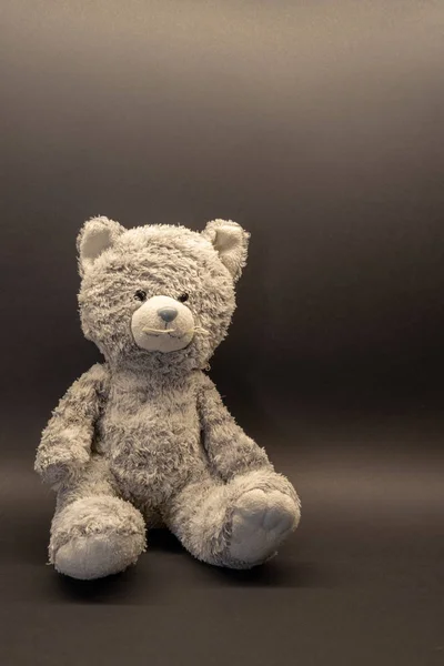 Cute Teddy Bear Soft Toy Background Copy Space — Stock Photo, Image