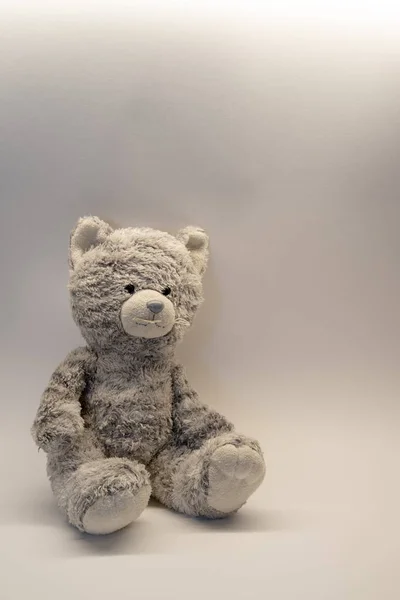 Sevimli Ayıcık yumuşak oyuncak kopya alanı zemin üzerine