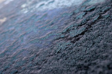 Ormanda güzel gizemli yeşil ağaçlar