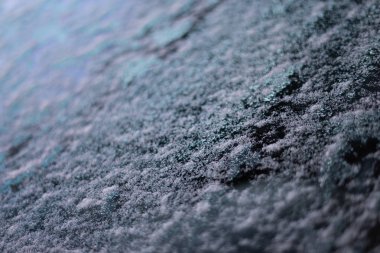 Ormanda güzel gizemli yeşil ağaçlar