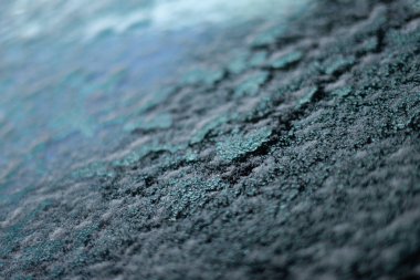 Ormanda güzel gizemli yeşil ağaçlar