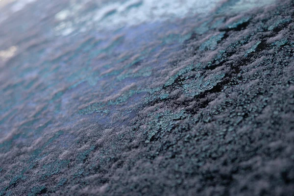 Ormanda güzel gizemli yeşil ağaçlar