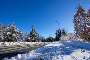 Mavi gökyüzünün altında kışın güzel karlı yol