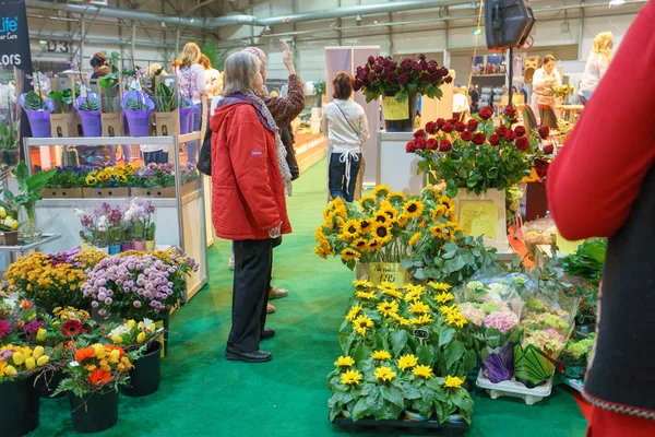 Tallinn Észtország Április 2019 Disainimess Interjr 2019 Eesti Nituste Messikeskuses — Stock Fotó