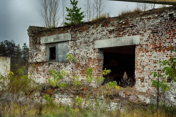 Les Entrepôts Abandonnés Les Bâtiments Industriels Sont Couverts Ordures Recouverts — Photo