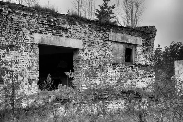 Les Entrepôts Abandonnés Les Bâtiments Industriels Sont Couverts Ordures Recouverts — Photo