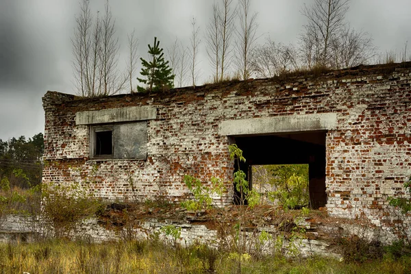 Övergiven Lagerlokal Och Industriella Byggnader Och Byggnader Täckt Med Skräp — Stockfoto