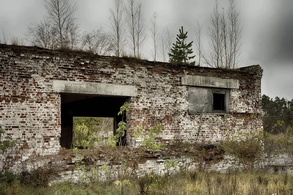 Övergiven Lagerlokal Och Industriella Byggnader Och Byggnader Täckt Med Skräp — Stockfoto