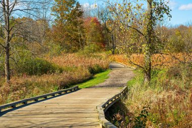 Twinsburg, Ohio geç sonbaharda vahşi bir çayırda aracılığıyla boardwalk iz konu