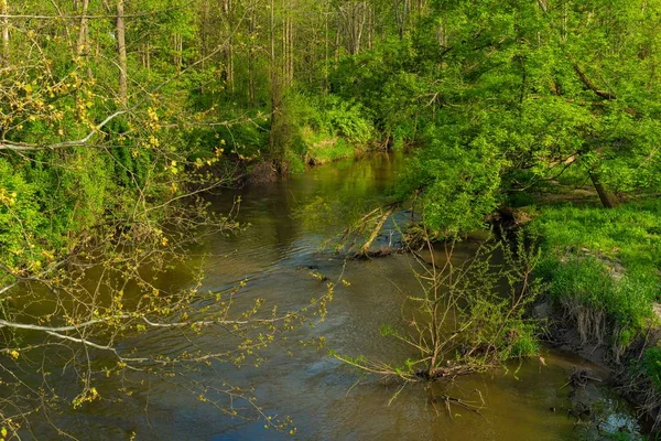 Tinkers Creek Przepływający Przez Park Twinsburg Ohio Wiosną — Zdjęcie stockowe