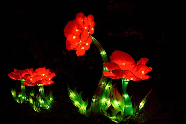 Bright red and green peony lanterns glow against the night at an Asian lantern festival in Cleveland Ohio.