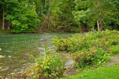 Cooperstown birkaç adım başlangıç, Otsego gölden akan Ny Susquehanna nehirde