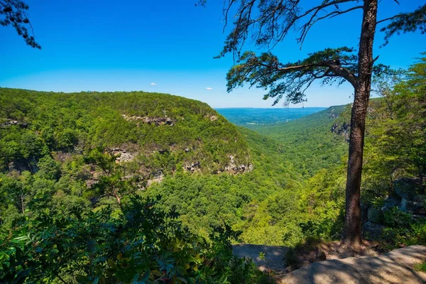 Vista Panorâmica Parque Estadual Cloudland Canyon Geórgia Perto Chattanooga — Fotografia de Stock