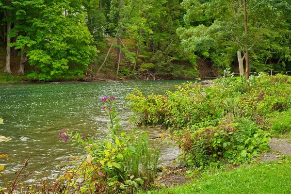 Rzeki Susquehanna Cooperstown Kilka Kroków Przeszłości Jego Rozpoczęcia Wypływająca Jeziora — Zdjęcie stockowe