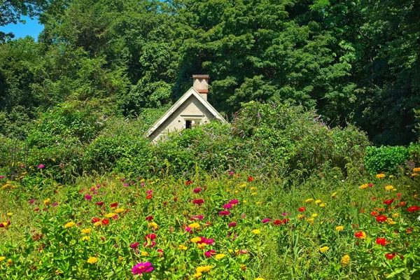Bloemen en kleine huisje — Stockfoto