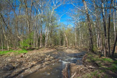 Erken ilkbaharda Dere