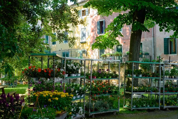 Продажа цветов Венеция — стоковое фото