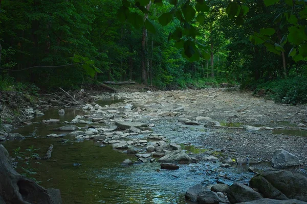 Riacho Que Corre Baixo Verão Flui Através Uma Floresta Escura — Fotografia de Stock