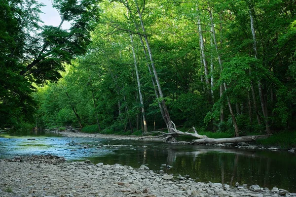 Río Chagrin Noreste Ohio Fluye Nivel Del Agua Baja Verano — Foto de Stock