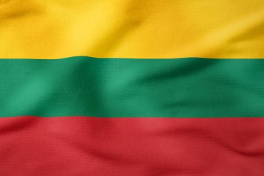 Litvanya Ulusal Bayrağı - Dikdörtgen Şekil vatansever sembolü