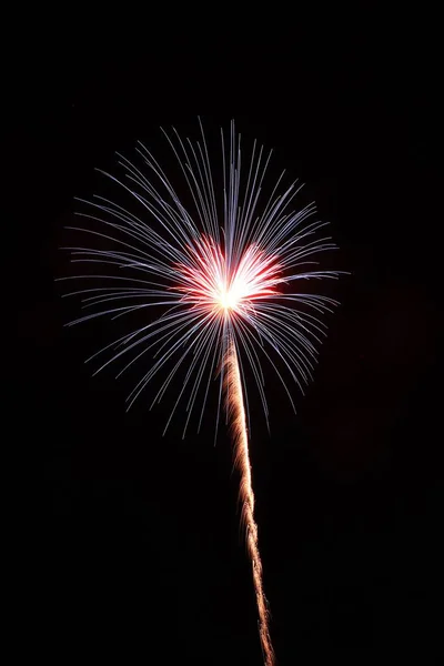 Feuerwerk Schöne Darstellung Von Bunten Feuerwerk Auf Einem Nachthimmel Hintergrund — Stockfoto