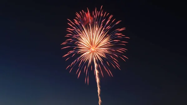 Havai fişekler. Güzel bir gece gökyüzü arka plan üzerinde renkli havai fişek gösterimi.