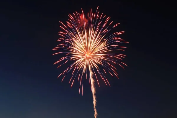 Havai fişekler. Güzel bir gece gökyüzü arka plan üzerinde renkli havai fişek gösterimi.