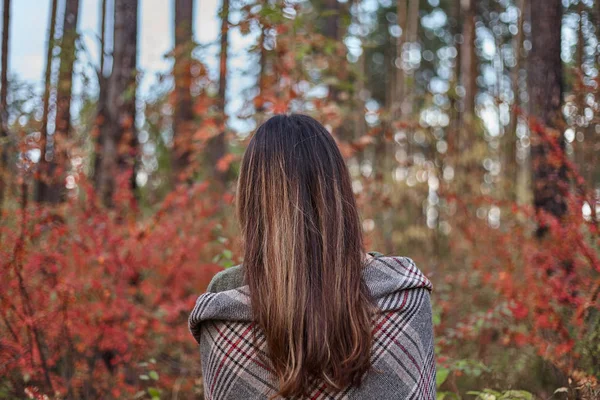 Chica Bosque Otoño Morena Con Pelo Largo Bosque Otoño Vista — Foto de Stock