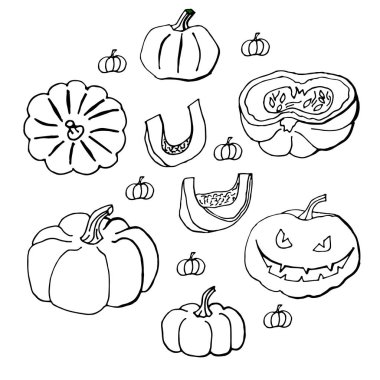 Kabaklar ve Jack-o'-lantern. Cadılar Bayramı nesneleri kümesi. Beyaz arka plan üzerinde izole.