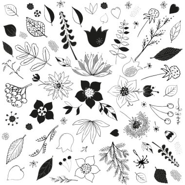 Beyaz arka plan üzerinde izole nesneleri. Öğeleri kümesi. Siyah ve beyaz