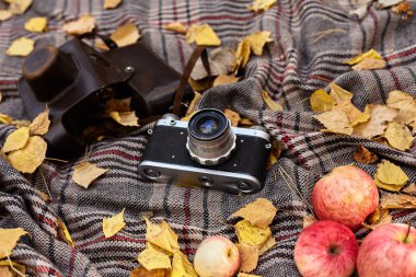 Sonbahar ormanda piknik. Elma, eski fotoğraf makinesi, sarı yaprakları ve sıcak bir battaniye.