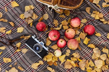 Sonbahar ormanda piknik. Elma, eski fotoğraf makinesi, sarı yaprakları ve sıcak bir battaniye.