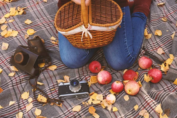 Picnic Bosque Otoño Manzanas Cámara Vieja Hojas Amarillas Una Manta — Foto de Stock