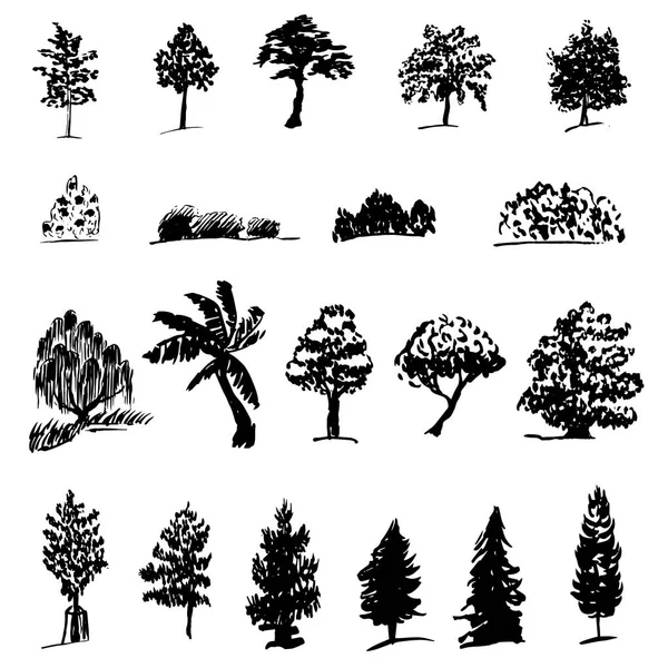 な木のシルエットのセット 黒い木の輪郭のコレクション — ストックベクタ