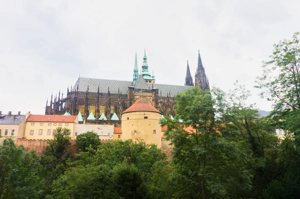 Utsikt Över Pragborgen Vitus Cathedral Prag Sommar — Stockfoto