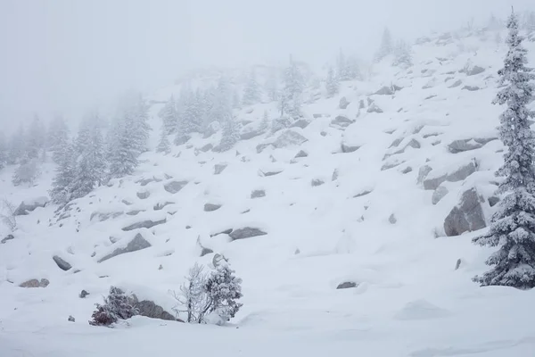 Bosque Invierno Hadas Parque Nacional Zyuratkul Invierno Nevado Paisaje Del —  Fotos de Stock