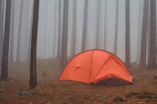 Tourist orange tent in the fog in the forest.