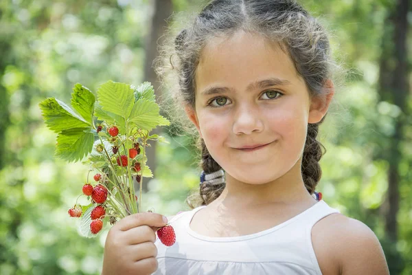 Summer Forest Bright Sunny Day Little Funny Girl Holds Strawberries — Stock Photo, Image