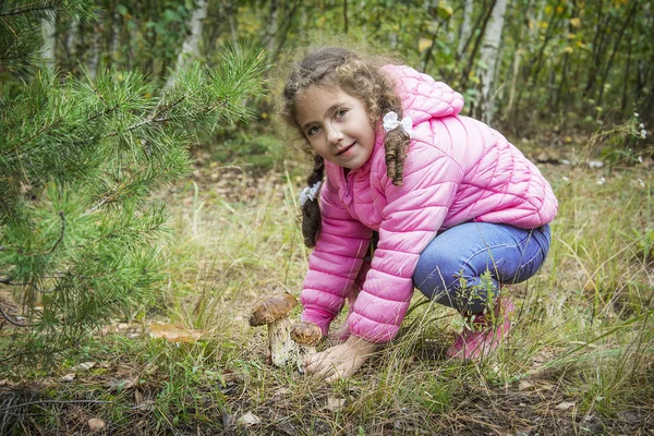 Lesie Jesienią Pod Sosną Dziewczynkę Znaleziono Dwa Podgrzybki Obrazek Stockowy