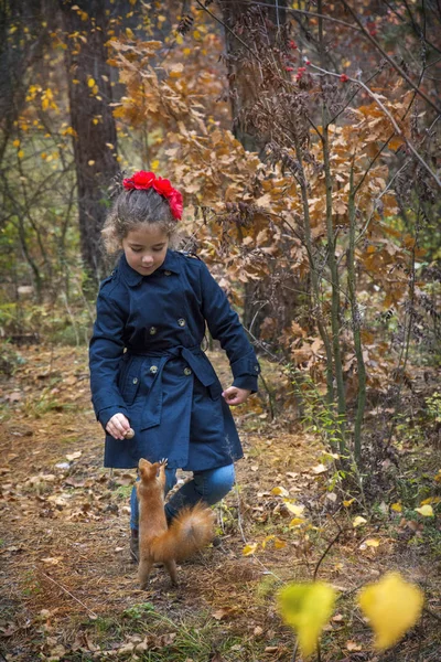 Осінньому Лісі Красива Дівчинка Годує Білочка Горіхами Білка Покласти Ступню — стокове фото