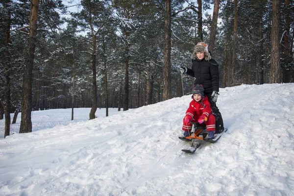 在冬天 一个阳光明媚的日子 一个兄妹骑着雪摩托车在树林里从一座小山 他们很高兴 — 图库照片