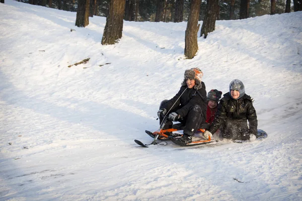 Zimě Jasného Slunečného Dne Lese Děti Jezdit Sněžném Skútru Desky — Stock fotografie