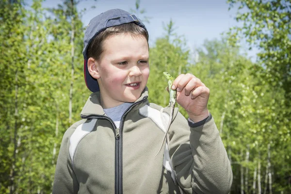 In the summer of bright sunny day the boy holds a lizard in his — Stock Photo, Image