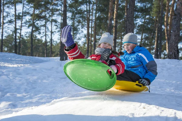 In winter, in the forest on a bright sunny day, brother and sist — Stock Photo, Image