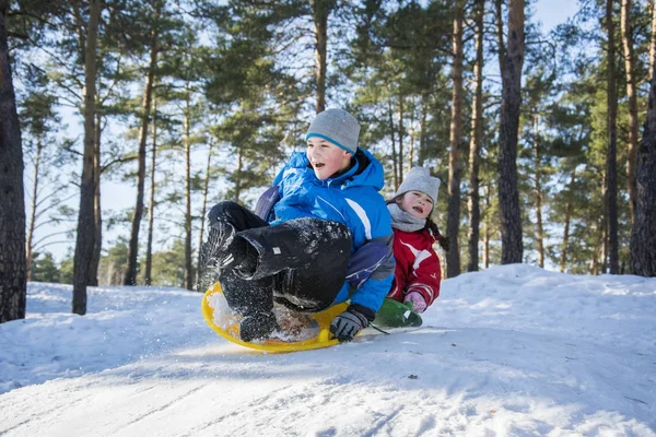 In winter, in the forest on a bright sunny day, brother and sist — Stock Photo, Image