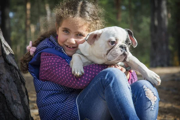 Na floresta de outono, uma menina segura um bulldog francês em ele — Fotografia de Stock