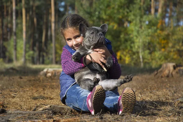 V podzimním lese drží malá holčička francouzského buldoka. — Stock fotografie