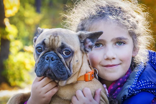 Na floresta de outono, uma menina segura um bulldog francês em ele — Fotografia de Stock