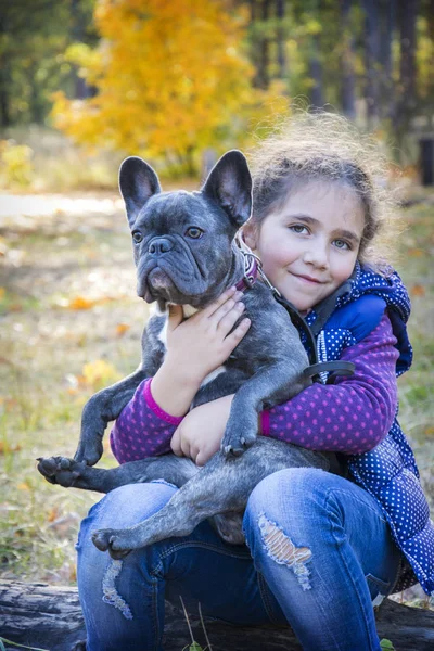 Na floresta de outono, uma menina segura um bulldog francês em ele — Fotografia de Stock