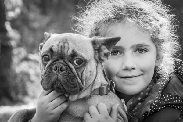 In the autumn forest, a little girl holds a French bulldog in he — Stock Photo, Image